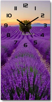 Produktbild von Wanduhr aus Glas – 30x60 cm - Glasbild - Glasuhr - Gehärtetes Glas -Lavendelfeld