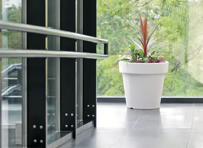 Produktbild von Lex Maxi extra großes Pflanzgefäß 80 cm