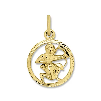 Produktbild von Anhänger Sternzeichen 333/- Gelbgold Schütze