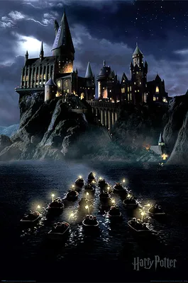 Produktbild von Harry Potter Poster Hogwarts Boats 61 x 91,5 cm