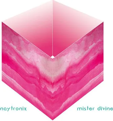 Obrázek produktu pro Naytronix-Mister Divine (Vinyl)