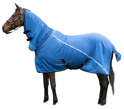 Obrázek produktu pro Harry's Horse Mesh Pro, podbřišník pro koně, modrá, 205 cm
