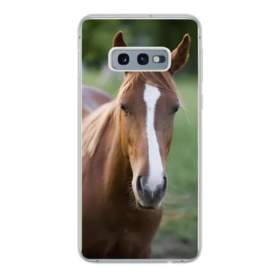 Produktbild von MuchoWow® Handyhülle Schutzhülle Hülle für Samsung Galaxy S10e Pferd - Natur - Porträt Silikon Softcase Handy Hülle - Handy