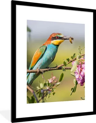 Produktbild von MuchoWow® Gerahmtes Poster Vogel - Bienenfresser - Blumen 60x80 cm - Poster mit Schwarzem Bilderrahmen Wandposter Rahmen Foto Bilder - Wohnzimmer - Dekorationen - Prämie