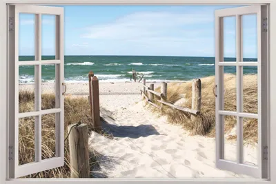 Produktbild von 156 Wandtattoo Fenster - Weg zum Ostseestrand - Größe 750 x 500 mm