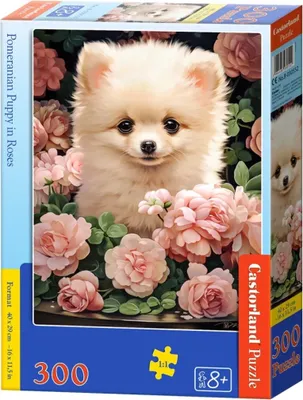 Obrázek produktu pro Puzzle 300 dílů Pomeranský štěně v růžích 030552 Castorland
