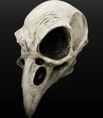 Immagine prodotto di Teschio di corvo - Maschera di Halloween per carnevale