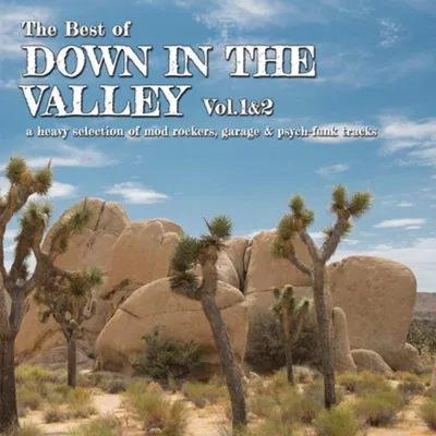 Produktbild von Various: Best Of Down In The Valley Vol.1 & 2