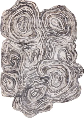 Zdjęcie produktu dla Dywan TINE 75426A Pień drzewo drewno - nowoczesny, nieregularny kształt krem / szary wielokolorowy 195x290 cm