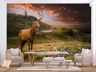 Produktbild von Vlies Fototapete Hirsch Tiere 400x280 cm Tapeten Wandtapete XXL Landschaft Natur g-B-0220-a-a