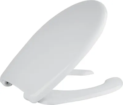 Immagine prodotto di Sedile WC HANDICAP per disabili, bianco