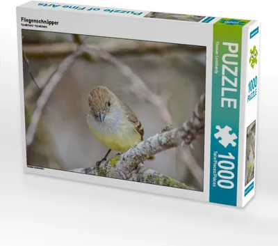 Produktbild von Calvendo Fliegenschnäpper 1000 Teile Puzzle quer 640x480mm, Leonhardy Thomas; 7375289