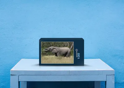 Produktbild von hansepuzzle 86717 - Elefant Puzzle, 130 Teile, Tierwelt, 28,7 x 20,0cm mit hochwertiger Aufbewahrung, Kartonbox und wiederverschließbarem Beutel