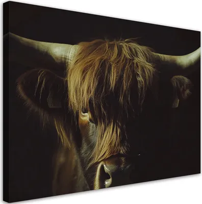 Produktbild von Leinwandbild Schottische Kuh Porträt in Sepia 60x40 Feeby Schwarz bild für die wand bereit zum aufhängen