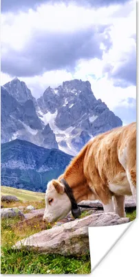 Produktbild von MuchoWow® Poster Kuh - Stein - Berg 60x120 cm - Wandschmuck