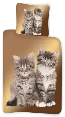 Zdjęcie produktu dla Kitten - Komplet pościeli z motywem kota, 135x200 i 80x80