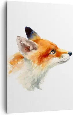 Produktbild von Bild auf Leinwand - Leinwandbild - Einteilig - Fuchs Tier Natur - 80x120cm - Wand Bild - Wanddeko - Wandbilder - Leinwanddruck - Wanddekoration - Leinwand bilder - Wandbild - PA80x120-3904