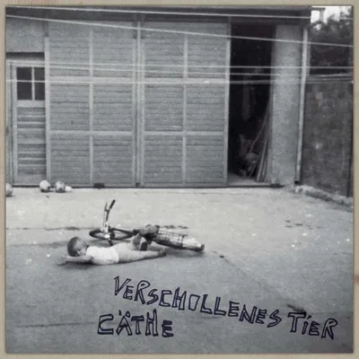 Produktbild von Verschollenes Tier