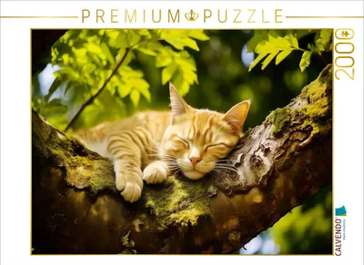 Produktbild von CALVENDO Puzzle Ein Motiv aus dem Kalender "Lieblingsschlafplätze" | 2000 Teile Lege-Größe 90x67cm Foto-Puzzle für glückliche Stunden