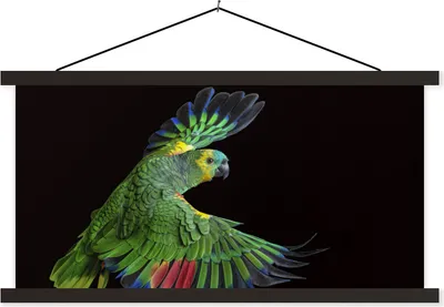 Produktbild von MuchoWow® Textilposter Nahaufnahme bunter Papagei 150x75 cm mit schwarzem Rahmen - Posterleiste