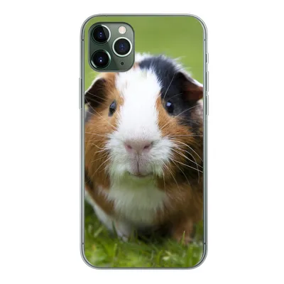 Produktbild von MuchoWow® Handyhülle Schutzhülle Hülle für iPhone 11 Pro Max Zwei Meerschweinchen Silikon Softcase Handy Hülle - Schutz