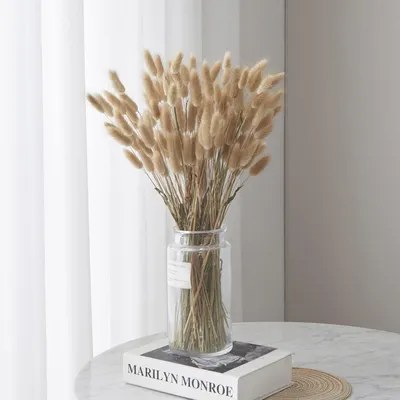 Immagine prodotto di 60 steli di pampa essiccata, fiori secchi per decorazione, altezza 45 cm, colore naturale