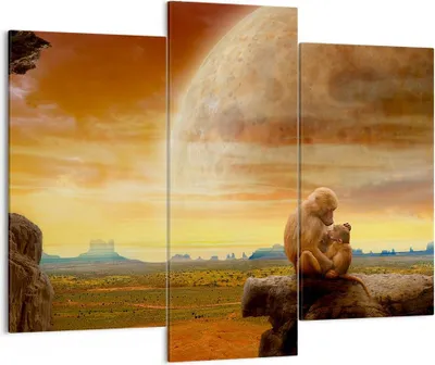 Produktbild von Bild auf Leinwand - Leinwandbild - Affen Mutter Natur Berg - 130x100cm - Wand Bild - Wanddeko - Leinwanddruck - Bilder - Kunstdruck - Wanddekoration - Leinwand bilder - Wandkunst - CB130x100-2287