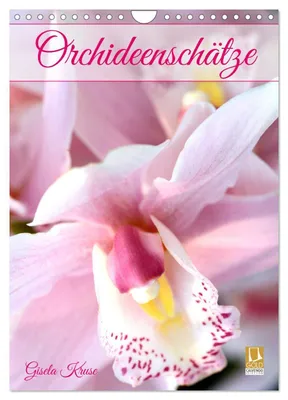 Produktbild von Orchideenschätze (Wandkalender 2027 DIN A4 hoch), CALVENDO Monatskalender