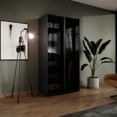 Produktbild von Modularer Kleiderschrank ZEN Schwarz Matt Getöntes Glas Antisol 2-türig Schrank