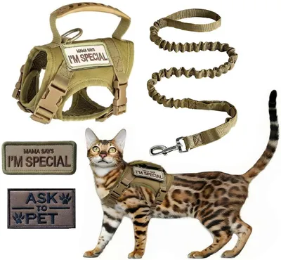 Taktisches Katzenhalsband, verstellbar, reflektierend, Khaki