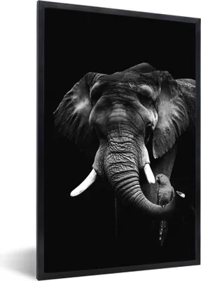 Produktbild von MuchoWow® Gerahmtes Poster Elefant mit Papagei vor schwarzem Hintergrund - schwarz und weiß 60x90 cm - Poster mit Schwarzem Bilderrahmen Wandposter Rahmen Foto Bilder - Kunst