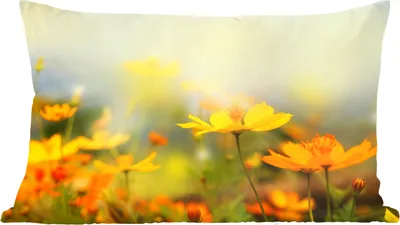 Produktbild von MuchoWow® Zierkissen Sofakissen Wohnzimmer Dekokissen 50x30 cm Blumen - Landschaft - Gelb - Wohnzimmerdekoration - Polster mit Photo