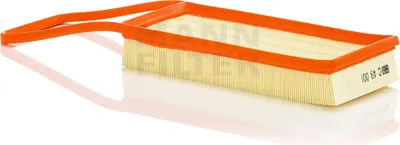 Produktbild von Luftfilter MANN-FILTER C 49 001 für BMW X5 (F15, F85) Filtereinsatz