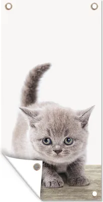 Produktbild von MuchoWow® 40x80 cm Outdoor-Poster Gartendeko Sichtschutz Garten Poster für den Garten  Kätzchen - Katze - Haustiere - Jungen - Kinder - Mädchen