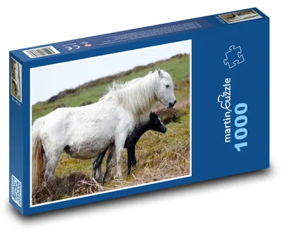 Obrázok produktu pre Puzzle 1000 Kobyla s žriebäťom v krajine - martinpuzzle