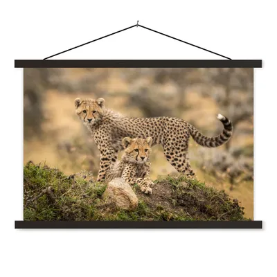 Produktbild von MuchoWow® Textilposter Leopard - Jungtier - Natur 60x40 cm mit schwarzem Rahmen - Hölzernes