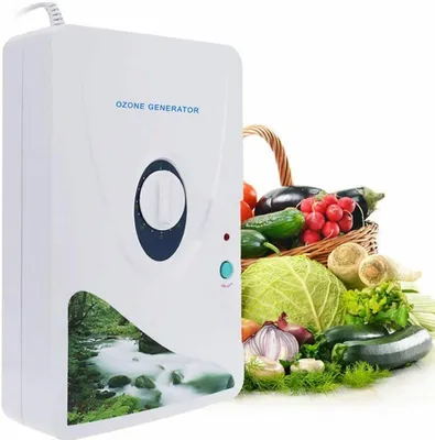 Image de Générateur d'ozone Désodorisation de la viande Fruits Légumes Désinfection 600mg/h Appareil à ozone 220V