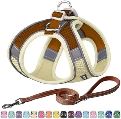 Produktbild von Step in Hundegeschirr und Leine Set - Ziehfreies, fluchtsicheres Westengeschirr mit reflektierenden Bändern, verstellbares Hundegeschirr für kleine und mittlere Hunde Beige M