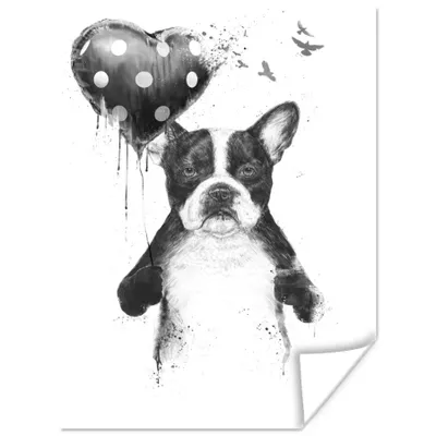 Produktbild von MuchoWow® Poster Hund - Luftballon - Punkte - Vögel 90x120 cm - Wohnzimmer