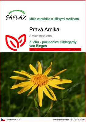 Obrázek produktu pro SAFLAX - Pravá Arnika - Arnica montana - 40 Semena