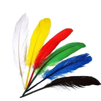 Immagine prodotto di Piume indiane Meyco in blu, bianco, giallo, rosso e nero da 17 a 20 cm