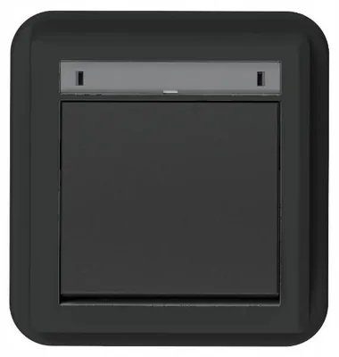Image de Interrupteur simple encastré étanche AQUANT 2K IP55 5001-77