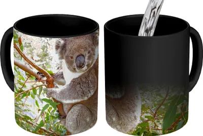 Obrázek produktu pro MuchoWow® Kouzelný pohár Koala - Listy - Děti - Chlapci - Dívky 350 ml Barva měnící se pohár Dárkový nápad - foto hrnek