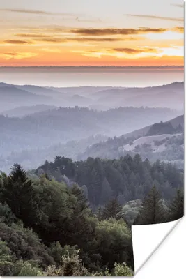 Produktbild von MuchoWow® Poster Berge - Sonne - Wald - Landschaft 40x60 cm - Plakate für die Wand - Poster Babyzimmer