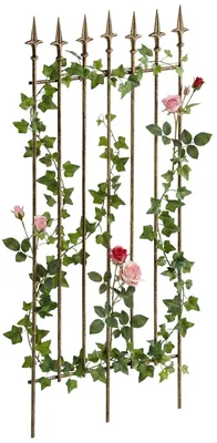Immagine prodotto di Archi di rose