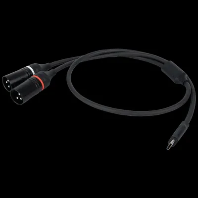 Produktbild von DAP FL112 - USB-C to 2 XLR/M 3P 384 kHz / 32 Bit - 0,75 m