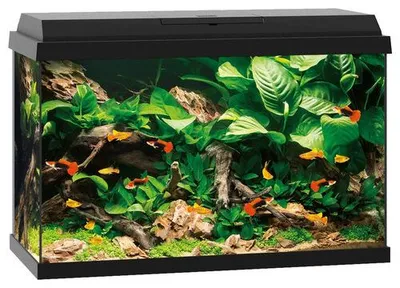 Productafbeelding van Juwel Primo 110 | 110L | 81 x 36 x 45CM Zwart