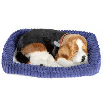 Produktbild von Perfect Petzzz Plüschhund Beagle 96255