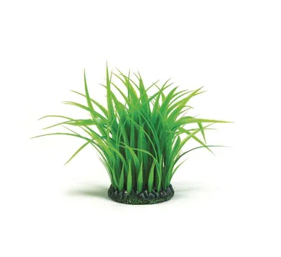 Produktbild von biOrb Grasring mittelgroß grün (46104)
