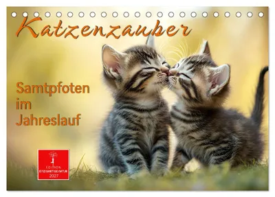 Produktbild von Katzenzauber - Samtpfoten im Jahreslauf (Tischkalender 2027 DIN A5 quer), CALVENDO Monatskalender